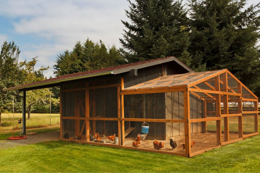 Cheap Chicken Coop Ideas for 2023 Trusty Barn