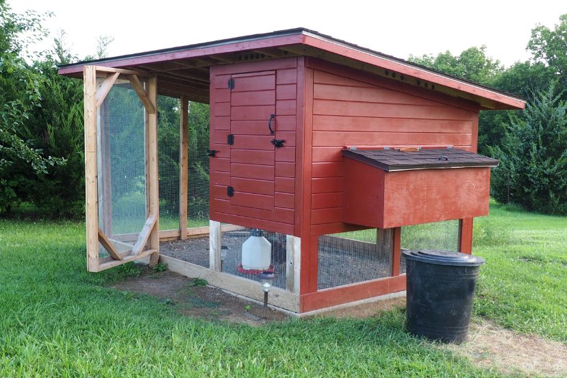 Black and White Chickens for Your Homestead - Trusty Barn